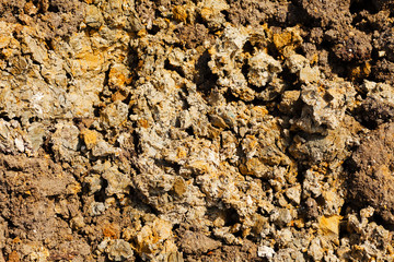 sand and mud
