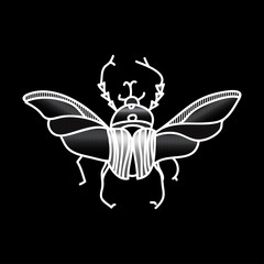 Vector beetle. Beautifully ornated insect.