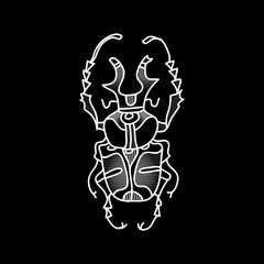 Vector beetle. Beautifully ornated insect.