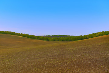 Natural background. field and blue sky. Hilly terrain with a bend. Sunny day
