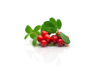 Ripe berry cranberries on a white background