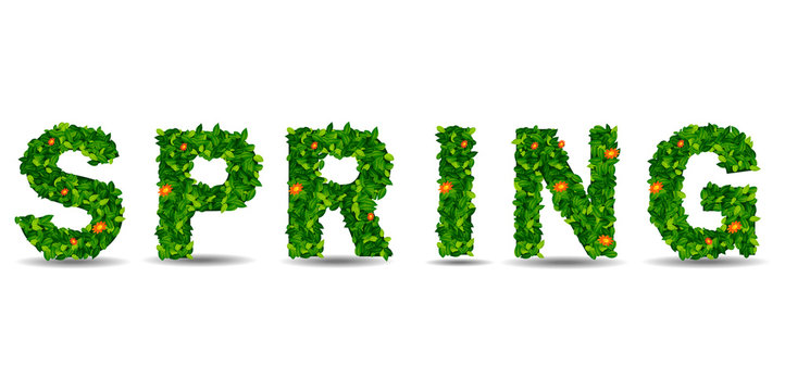 Text of the spring green leaf. 3d render. in white background