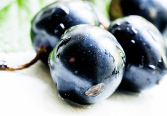 Berries of a black currant on a white wooden background, not iso
