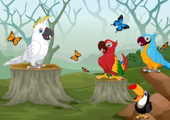 funny birds cartoon with deep forest landscape background © jihane37