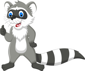 cute raccoon cartoon thumb up