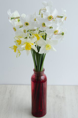 A bouquet of daffodils