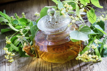 Useful linden tea in glass teapot, branches linden flowers and l