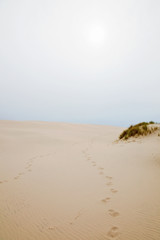 Footprints in sand dune