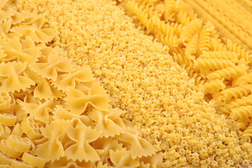 Assortment of uncooked Italian pasta close up