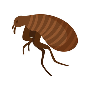 recommend clip art: Pest control concept with insects exterminator silhouette flat vector illustration