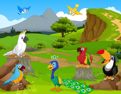 funny animal cartoon in the jungle with landscape background