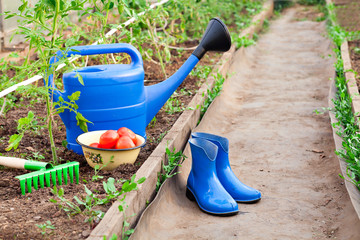 Colorful garden tools. watering can, rubber boots and rake.