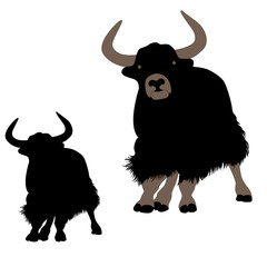 musk ox mountain yak Mountain bull vector illustration set