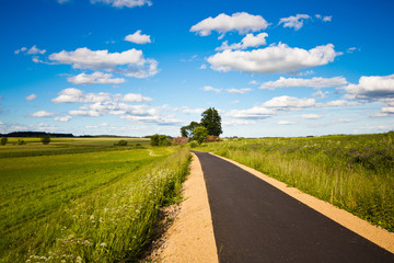 The road into the field.