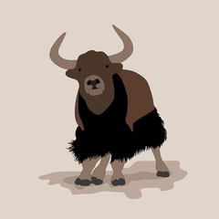 musk ox mountain yak Mountain bull vector illustration 
