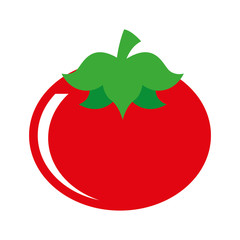 fresh tomato isolated icon design