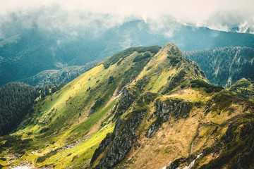 Obraz premium Morning in Carpathian Mountains