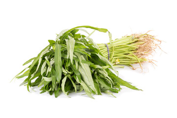 Morning glory green vegetable