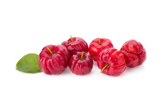 Barbados cherry (Malpighia glabra L.)