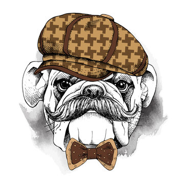 The poster with the image of the dog Bulldog with a mustache in the cap and bow. Vector illustration.