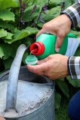 Blumendünger abmessen für Gartenblumen