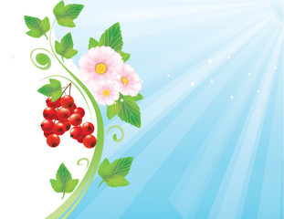 Redcurrant flower background