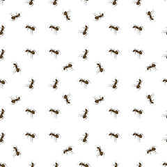 Seamless Animal Pattern. Ant Isolated on White Background.