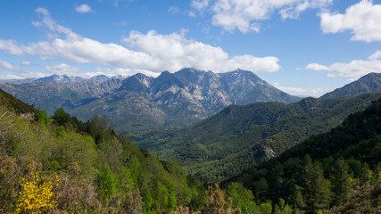 Fototapeta na wymiar Korsische Landschaft