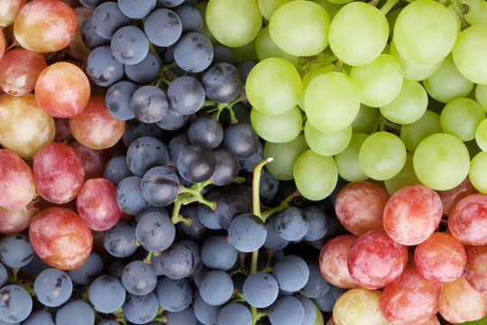 Bunch of colorful grapes