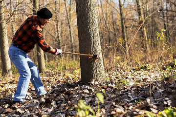 Senior lumberjack cutting tree with axe in the forest