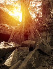 Ancient Angkor Thom and Angkor Wat in cambodia