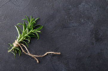 sprig of Rosemary on a dark background. Top view.