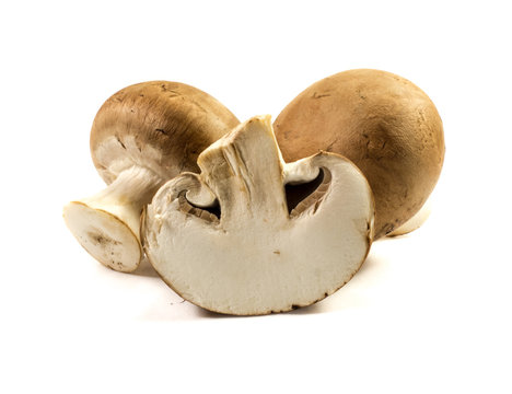 Braune Champignons auf wei&szlig;en Hintergrund
