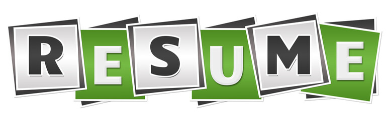 Resume Green Grey Blocks 