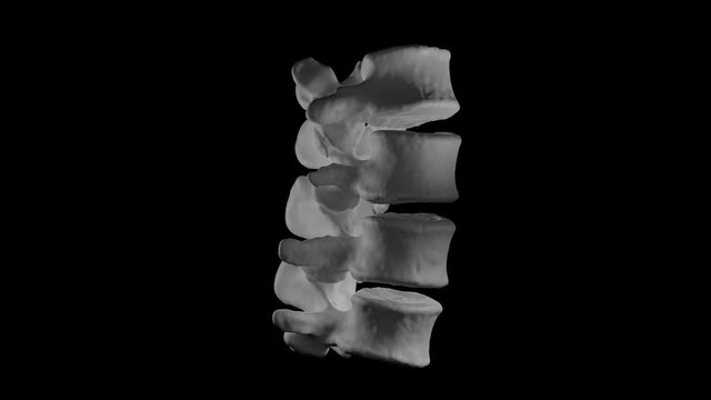 Animation of human lumbar vertebrae rotating 360 in black background