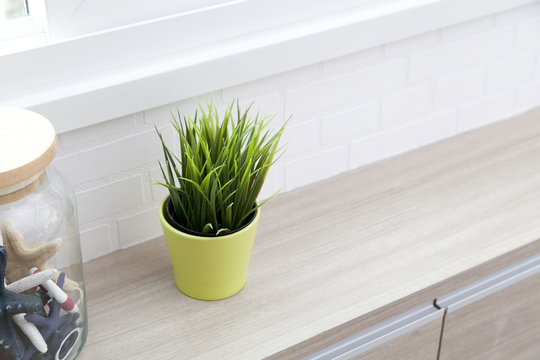 Green Plant In The Pots By The Window