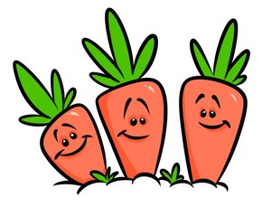 Carrots garden vegetables cartoon illustration isolated image
