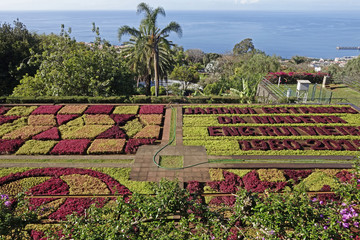Funchal, Botanischer Garten