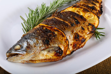grilled trout