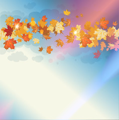 Obraz na płótnie Canvas Beautiful autumn sky