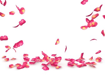 Obraz premium Rose petals fall to the floor