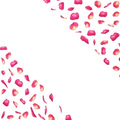 Postcard of the flying rose petals