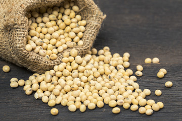 Soy bean