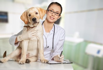 Veterinarian.