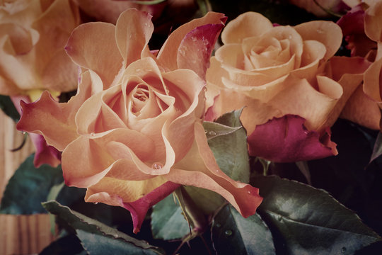 Fototapeta Bouquet of big orange roses with rain drops. Vintage.