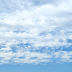 soffici nuvole nel cielo azzurro di giugno, quadrato