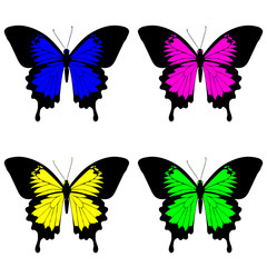 butterflies design