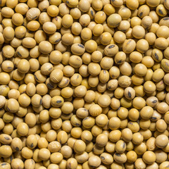 Soy bean
