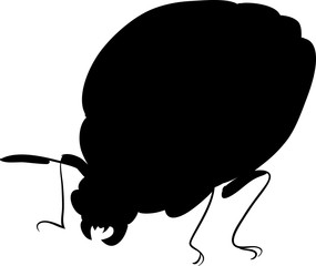 silhouette of colorado beetle