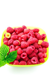 Bowl full of ripe raspberries isolated on white background.